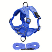 Reflective Cat Harness and Leash Set – Ideal for Walking and Training